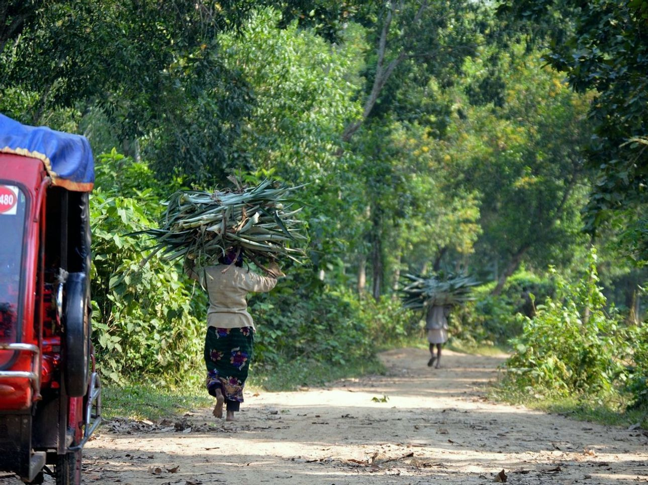 নতুন সংযোজন